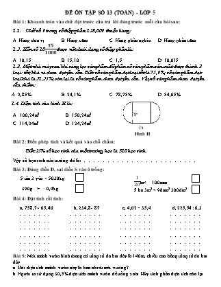 Đề ôn tập số 13 (Toán) - Lớp 5