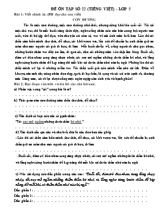 Đề ôn tập số 22 (Tiếng Việt) - Lớp 5