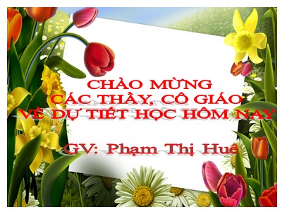 Bài giảng Đại số 8 - Tiết 24: Rút gọn phân thức - GV: Phạm Thị Huê