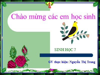Bài giảng Sinh học 7 - Bài 44: Đa dạng và đặc điểm chung của lớp chim - GV: Nguyễn Thị Trang