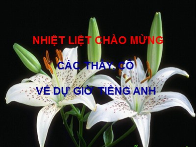 Bài giảng Tiếng Anh 8 - Unit 9: Natural disaster - Period 54: Listen and Read