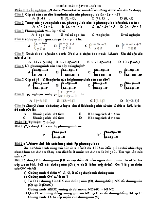 Phiếu bài tập Toán lớp 9 - Số 18