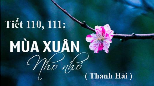 Bài giảng Ngữ văn 9 - Tiết 110, 111: Mùa xuân nho nhỏ (Thanh Hải)