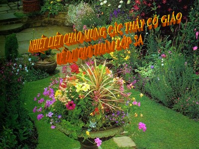 Bài giảng Tập đọc 3 - Chuyện một khu vườn nhỏ (Theo Vân Long)