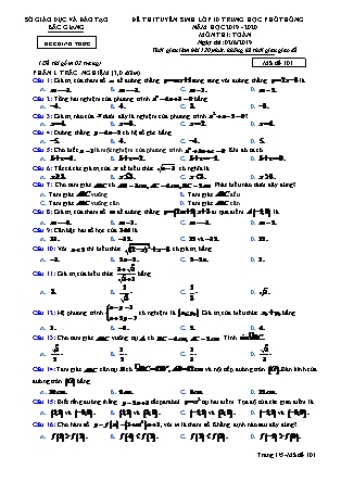 Đề thi tuyển sinh vào Lớp 10 môn Toán - Mã đề: 101 - Năm học 2019-2020 - Sở giáo dục và đào tạo tỉnh Bắc Giang (Có đáp án)