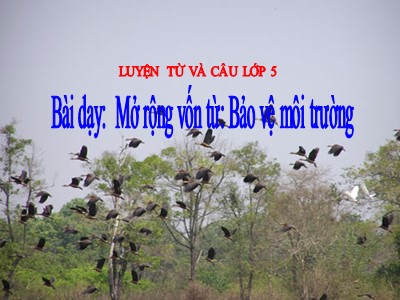 Bài giảng Tiếng Việt Lớp 5 - Tuần 12 - Luyện từ và câu: Mở rộng vốn từ Bảo vệ môi trường