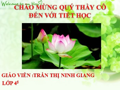 Bài giảng Tiếng Việt Lớp 4 - Chính tả: Thợ rèn - Trần Thị Ninh Giang