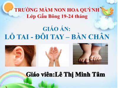 Bài giảng Mầm non Lớp Nhà trẻ - Đề tài: Lỗ tai-Đôi tay-Bàn chân - Lê Thị Minh Tâm