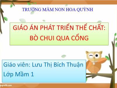 Bài giảng Phát triển thể chất Mầm non Lớp Mầm - Đề tài: Bò chui qua cổng - Lưu Thị Bích Thuận
