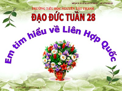 Bài giảng Đạo đức 5 - Tuần 28, Bài 13: Em tìm hiểu về Liên Hợp Quốc - Trường Tiểu học Nguyễn Tất Thành