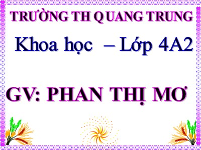 Bài giảng Khoa học 4 - Bài 35: Không khí cần cho sự cháy - Phan Thị Mơ