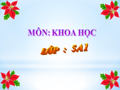 Bài giảng Khoa học 5 - Bài 29: Thủy tinh