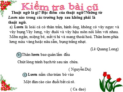 Bài giảng Ngữ văn 9 - Tiết 34: Tiếng Việt Trau dồi vốn từ