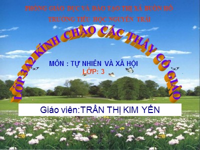 Bài giảng Tự nhiên và xã hội 3 - Bài: Hoạt động công nghiệp, thương mại - Trần Thị Kim Yến