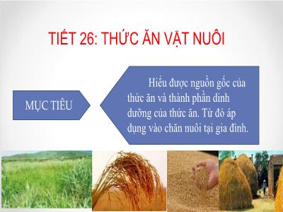 Bài giảng Công nghệ Lớp 7 - Tiết 26, Bài 37: Thức ăn vật nuôi
