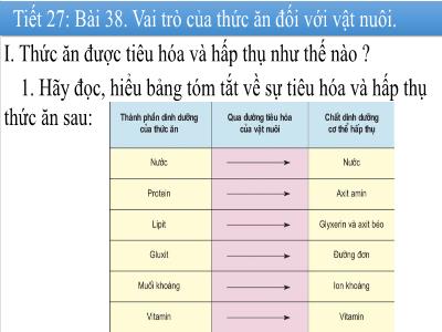 Bài giảng Công nghệ Lớp 7 - Tiết 27, Bài 38: Vai trò của thức ăn đối với vật nuôi