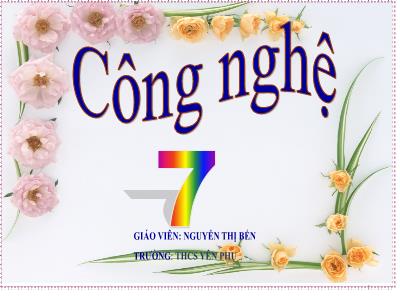 Bài giảng Công nghệ Lớp 7 - Tiết 27: Chăn nuôi gà thịt trong nông hộ (Tiếp) - Nguyễn Thị Bến