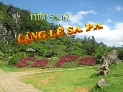 Bài giảng Đại số Lớp 9 - Tiết 66+67: Lặng lẽ Sa Pa