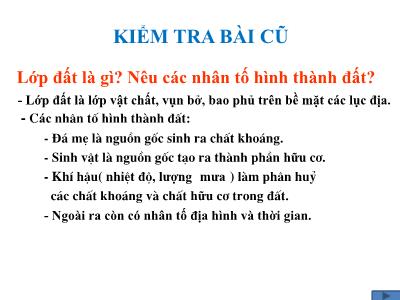 Bài giảng Địa lí Lớp 6 - Tiết 35: Lớp vỏ sinh vật. các nhân tố ảnh hưởng đến sự phân bố thực vật, động vật trên trái đất