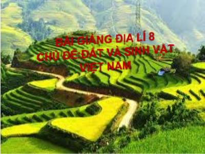 Bài giảng Địa lí Lớp 8 - Chủ đề: Đất và sinh vật Việt Nam