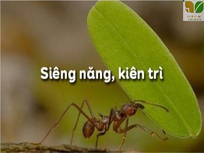 Bài giảng Giáo dục công dân Lớp 6 (Kết nối tri thức) - Bài 3: Siêng năng, kiên trì