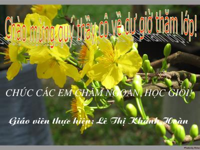 Bài giảng Giáo dục công dân Lớp 6 - Tiết 23, Bài 14: Thực hiện trật tự an toàn giao thông (Tiết 1) - Năm học 2009-2010 - Lê Thị Khánh Hoàn