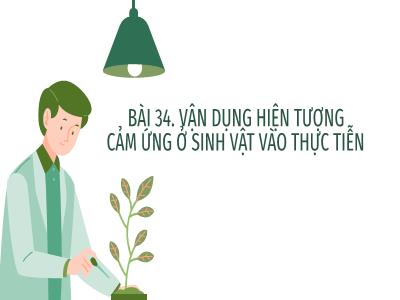 Bài giảng Khoa học tự nhiên 7 (Kết nối tri thức) - Bài 34: Vận dụng hiện tượng cảm ứng ở sinh vật vào thực tiễn