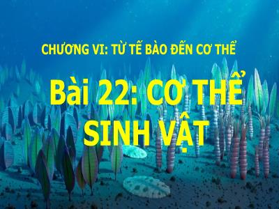 Bài giảng Khoa học tự nhiên Lớp 6 (Kết nối tri thức) - Bài 22: Cơ thể sinh vật