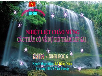 Bài giảng Khoa học tự nhiên Lớp 6 (Kết nối tri thức) - Tiết 36, Bài 34: Thực vật - Năm học 2023-2024 - Lê Đăng Niên