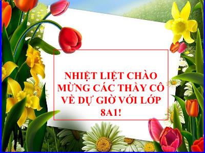 Bài giảng Khoa học tự nhiên Lớp 8 - Tiết 63: Ôn tập phần Giác quan