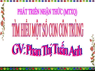 Bài giảng Mầm non Lớp Chồi - Đề tài: Tìm hiểu một số con côn trùng - Phan Thị Tuấn Anh