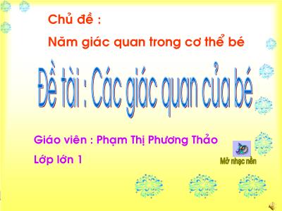Bài giảng Mầm non Lớp Lá - Chủ đề: Năm giác quan trong cơ thể bé. Đề tài: Các giác quan của bé - Phạm Thị Phương Thảo