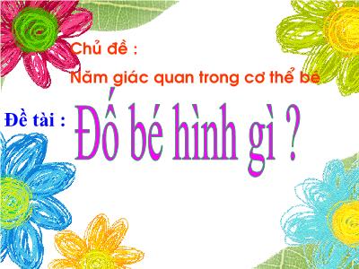 Bài giảng Mầm non Lớp Mầm - Chủ đề: Năm giác quan trong cơ thể bé. Đề tài: Đố bé hình gì?
