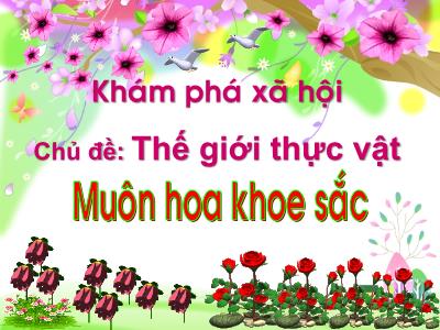 Bài giảng Mầm non Lớp Mầm - Chủ đề: Thế giới thực vật. Khám phá xã hội: Muôn hoa khoe sắc