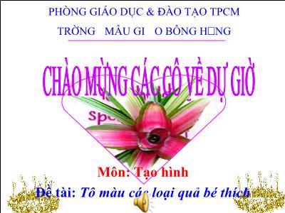 Bài giảng Mầm non Lớp Mầm - Đề tài: Tô màu các loại quả bé thích - Trường Mẫu giáo Bông Hồng