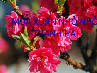 Bài giảng Ngữ Văn 9 - Bài: Mùa xuân nhỏ nhỏ