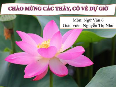 Bài giảng Ngữ Văn Lớp 6 - Ôn tập: Cụm động từ, cụm tính từ - Nguyễn Thị Như