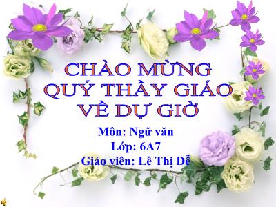 Bài giảng Ngữ Văn Lớp 6 - Tiết 128: Luyện tập cách viết đơn và sửa lỗi - Năm học 2011-2012 - Lê Thị Dễ