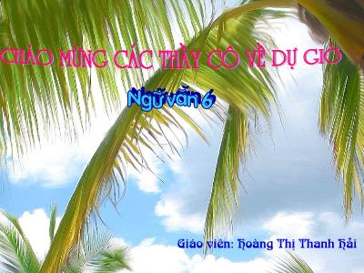 Bài giảng Ngữ Văn Lớp 6 - Tiết 135: Tổng kết phần Tiếng Việt - Hoàng Thị Thanh Hải
