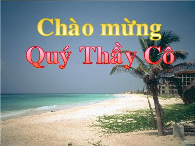 Bài giảng Ngữ Văn Lớp 6 - Tiết 57, Bài 13: Chỉ từ