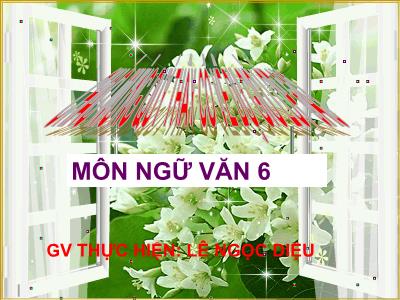 Bài giảng Ngữ Văn Lớp 6 - Tiết 87: Chương trình địa phương. Phần Tiếng Việt: Rèn luyện chính tả - Lê Ngọc Diệu