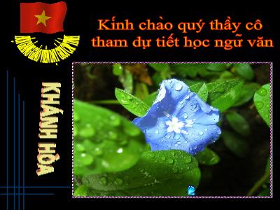 Bài giảng Ngữ Văn Lớp 6 - Tiết 92: Phương pháp tả người