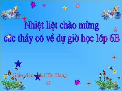 Bài giảng Ngữ Văn Lớp 6 - Tuần 11, Tiết 41: Danh từ (Tiếp theo) - Mai Thị Hằng