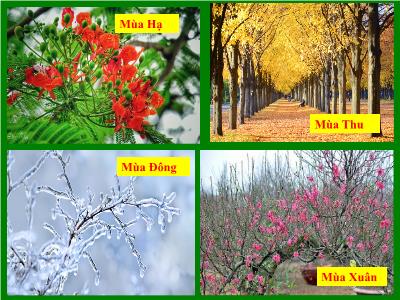 Bài giảng Ngữ Văn Lớp 9 - Tiết 122+123: Văn bản Sang thu