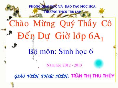 Bài giảng Sinh học Lớp 6 - Bài 16: Thân to ra do đâu? - Năm học 2012-2013 - Trần Thị Thu Thủy