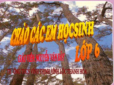 Bài giảng Sinh học Lớp 6 - Bài 27: Sinh sản sinh dưỡng do người - Nguyễn Văn Bảy