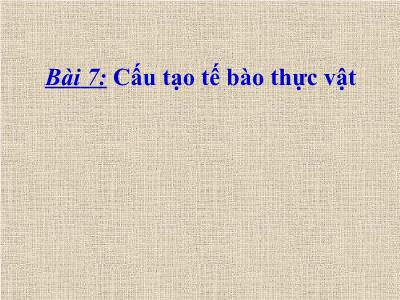 Bài giảng Sinh học Lớp 6 - Bài 7: Cấu tạo tế bào thực vật