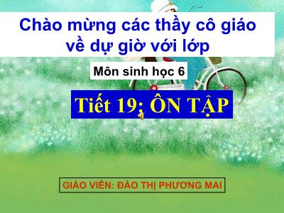 Bài giảng Sinh học Lớp 6 - Tiết 19: Ôn tập - Đào Thị Phương Mai