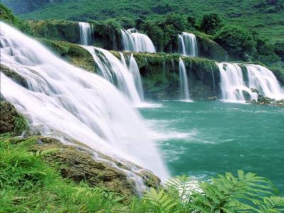 Bài giảng Sinh học Lớp 6 - Tiết 25: Quang hợp