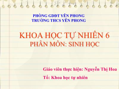 Bài giảng Sinh học Lớp 6 - Tiết 5, Bài 20: Sự lớn lên và sinh sản của tế bào - Nguyễn Thị Hoa